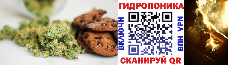 Cannafood конопля  darknet какой сайт  Шали 