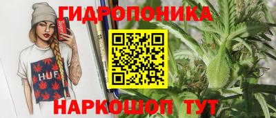 дурь Заводоуковск