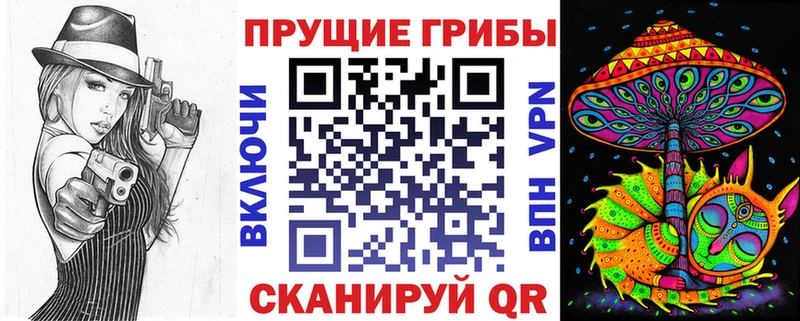 Псилоцибиновые грибы Cubensis  shop Telegram  Шали 