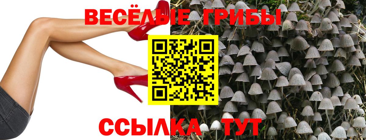 Псилоцибиновые грибы Magic Shrooms Шали