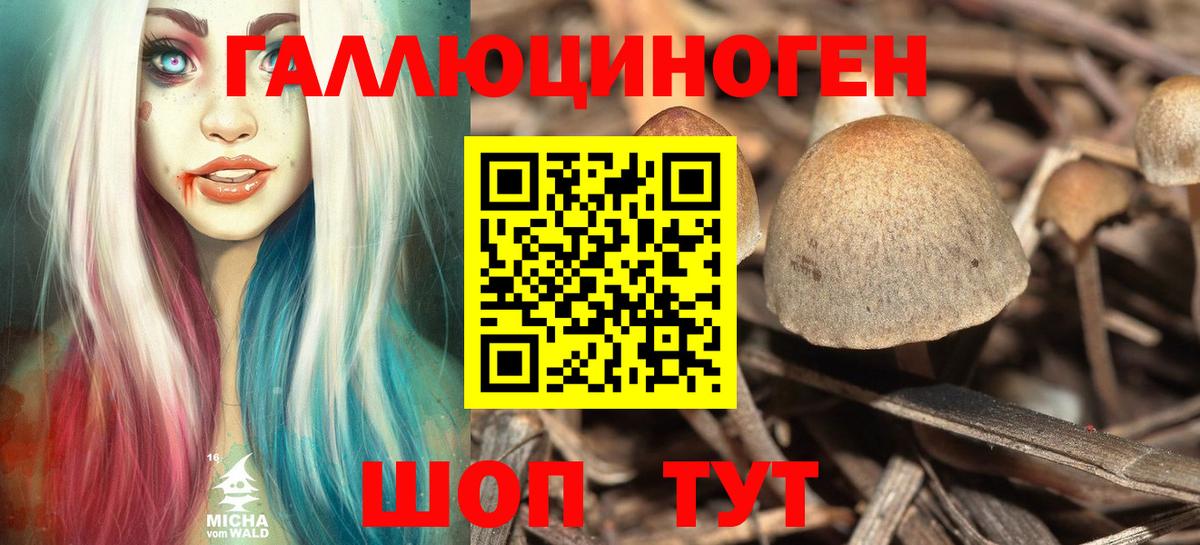Псилоцибиновые грибы мицелий  Шали  Галлюциногенные грибы мицелий 