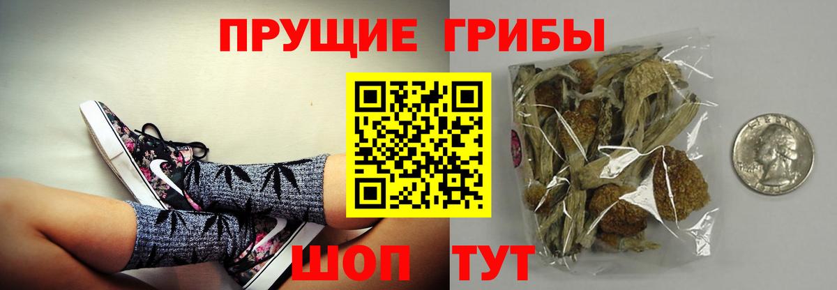 Галлюциногенные грибы Cubensis  Галлюциногенные грибы ЛСД  как найти наркотики  Шали  Вход с VPN 